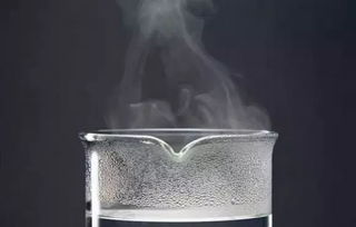 美容院绝对不告诉的惊人秘密 清洗刷的正确方式与深层保养